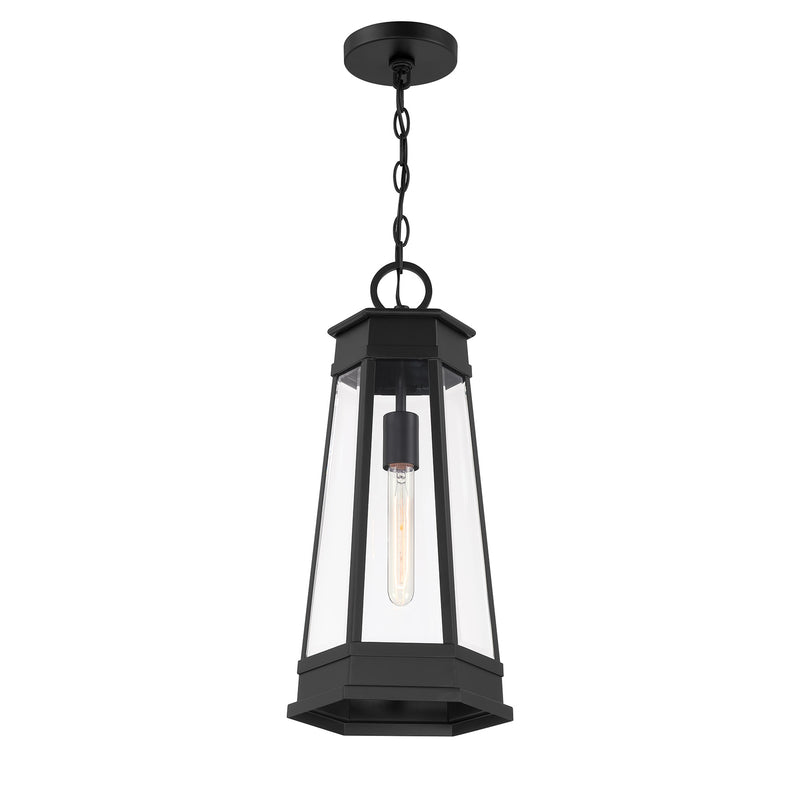 Payne 1-Light Outdoor Hanging Lantern