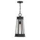 Payne 1-Light Outdoor Hanging Lantern