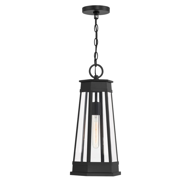 Payne 1-Light Outdoor Hanging Lantern
