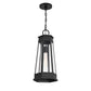 Payne 1-Light Outdoor Hanging Lantern
