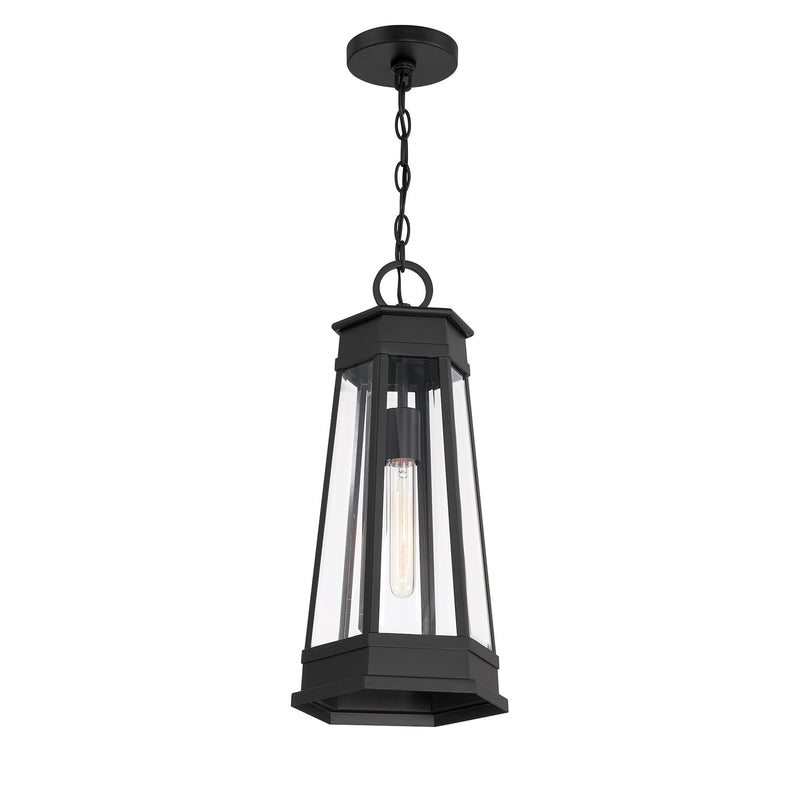 Payne 1-Light Outdoor Hanging Lantern