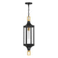 Glendale 1-Light Outdoor Hanging Lantern