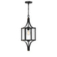 Raeburn 1-Light Outdoor Hanging Lantern