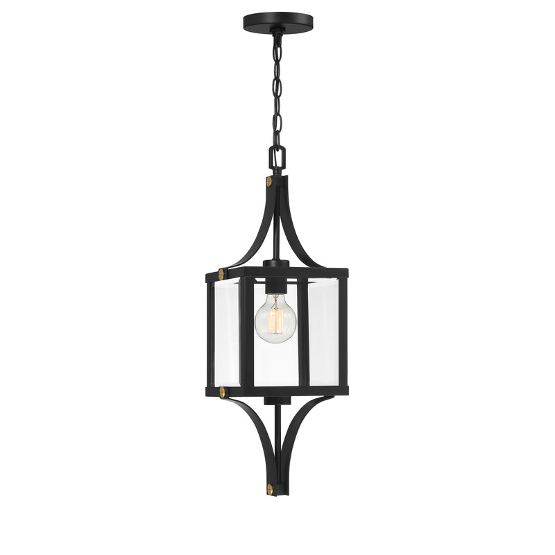 Raeburn 1-Light Outdoor Hanging Lantern