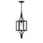 Raeburn 1-Light Outdoor Hanging Lantern
