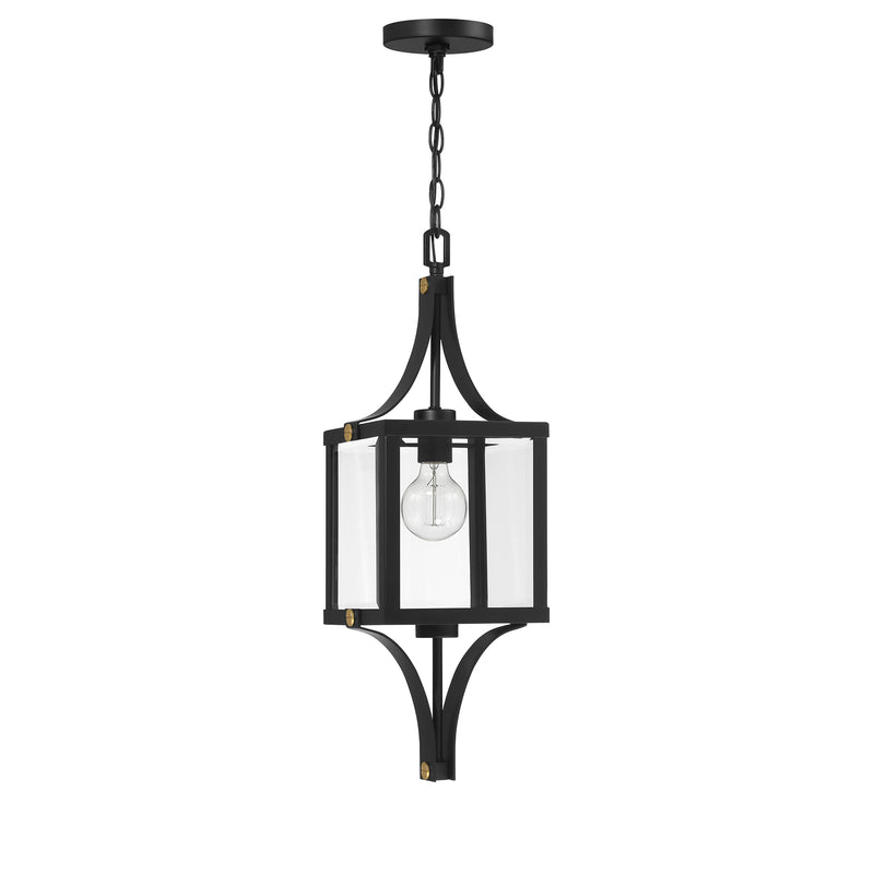 Raeburn 1-Light Outdoor Hanging Lantern