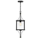 Raeburn 1-Light Outdoor Hanging Lantern