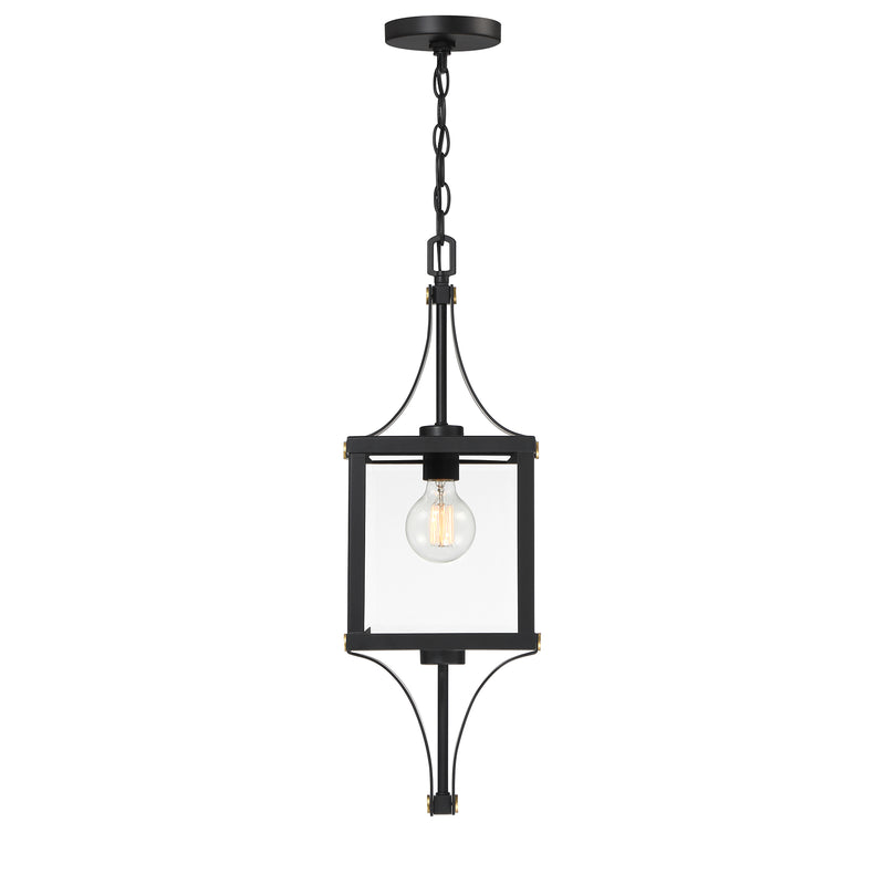 Raeburn 1-Light Outdoor Hanging Lantern