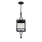 Raeburn 1-Light Outdoor Hanging Lantern