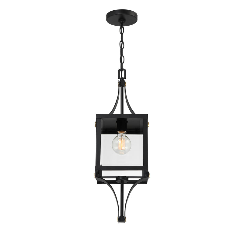 Raeburn 1-Light Outdoor Hanging Lantern