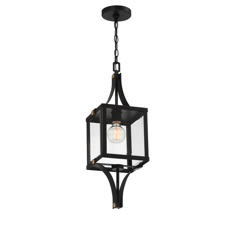 Raeburn 1-Light Outdoor Hanging Lantern