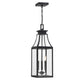 Emery 3-Light Outdoor Hanging Lantern