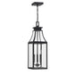 Emery 3-Light Outdoor Hanging Lantern