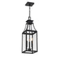 Emery 3-Light Outdoor Hanging Lantern