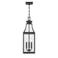 Emery 3-Light Outdoor Hanging Lantern