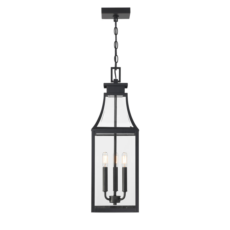 Emery 3-Light Outdoor Hanging Lantern