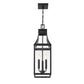 Emery 3-Light Outdoor Hanging Lantern