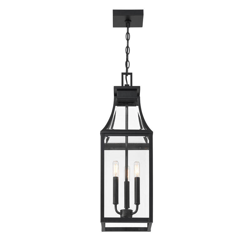 Emery 3-Light Outdoor Hanging Lantern