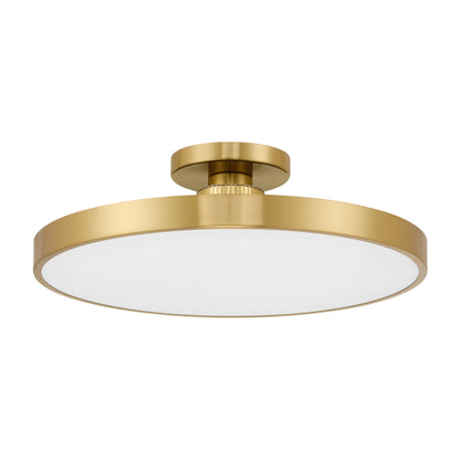 Thayer 1-Light LED Ceiling Light