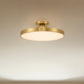 Thayer 1-Light LED Ceiling Light