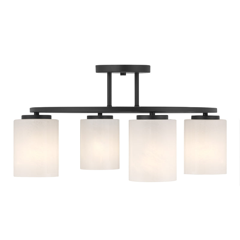 Herron 4-Light Ceiling Light