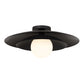 Sherrer 1-Light Ceiling Light
