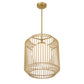 Pastis 1-Light Pendant