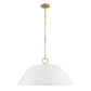 Alta 1-Light Pendant