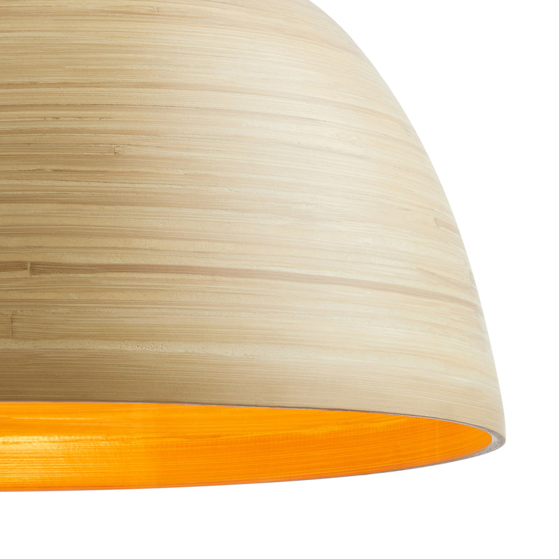 Agave 1-Light Pendant