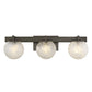 Darien 3-Light Bathroom Vanity Light