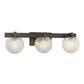 Darien 3-Light Bathroom Vanity Light