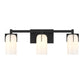 Caldwell Bathroom Vanity Light