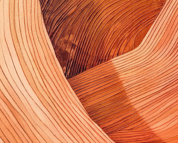 Canyon Dreams II
