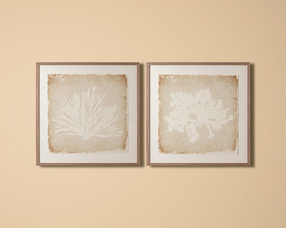 Aquatic Flora I