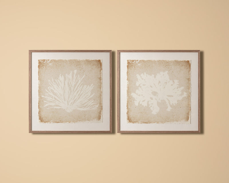 Aquatic Flora I