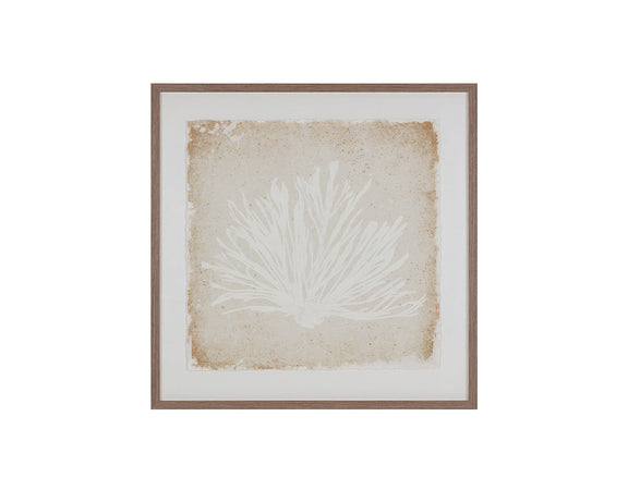 Aquatic Flora I
