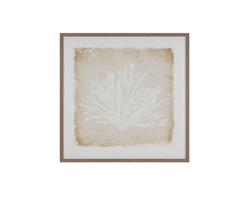 Aquatic Flora I