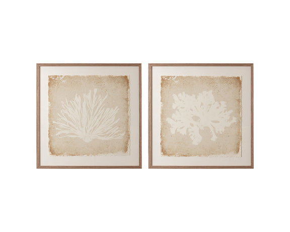 Aquatic Flora I
