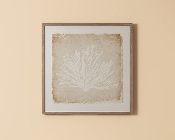 Aquatic Flora I