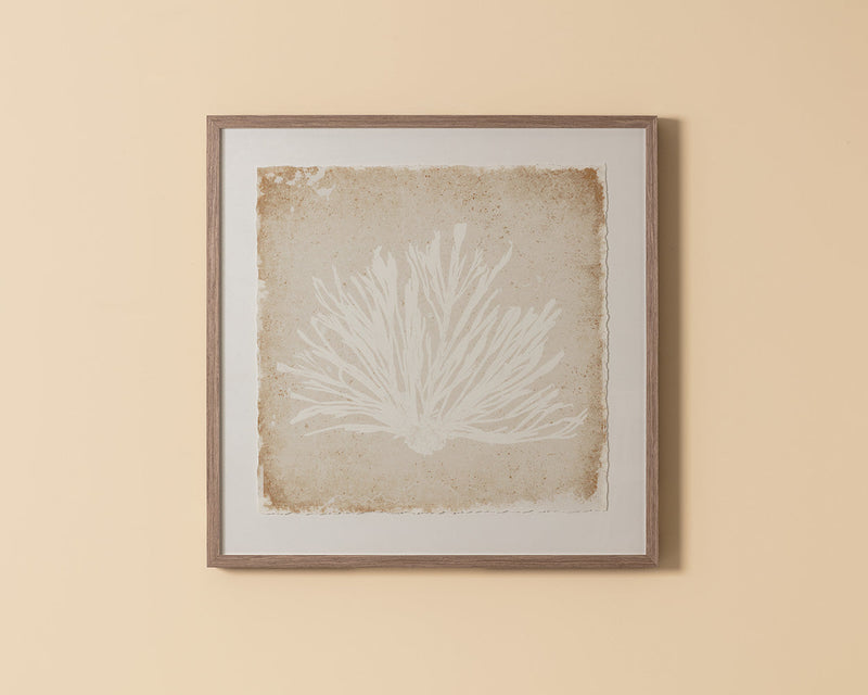 Aquatic Flora I