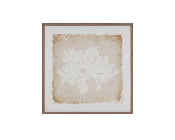 Aquatic Flora II