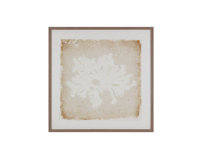 Aquatic Flora II