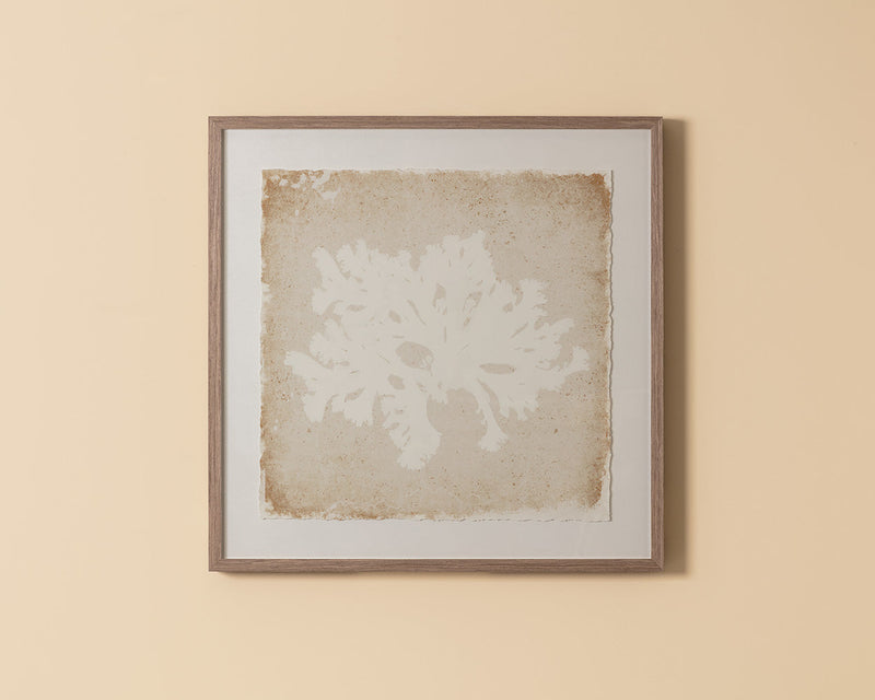 Aquatic Flora II