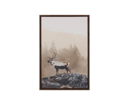 Into The Wild I