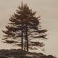 Together Alone II