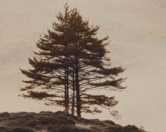Together Alone II