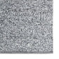 ASR16_3