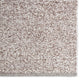 ASR17_3