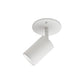 Barclay Semi-Flush Mount