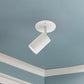 Barclay Semi-Flush Mount